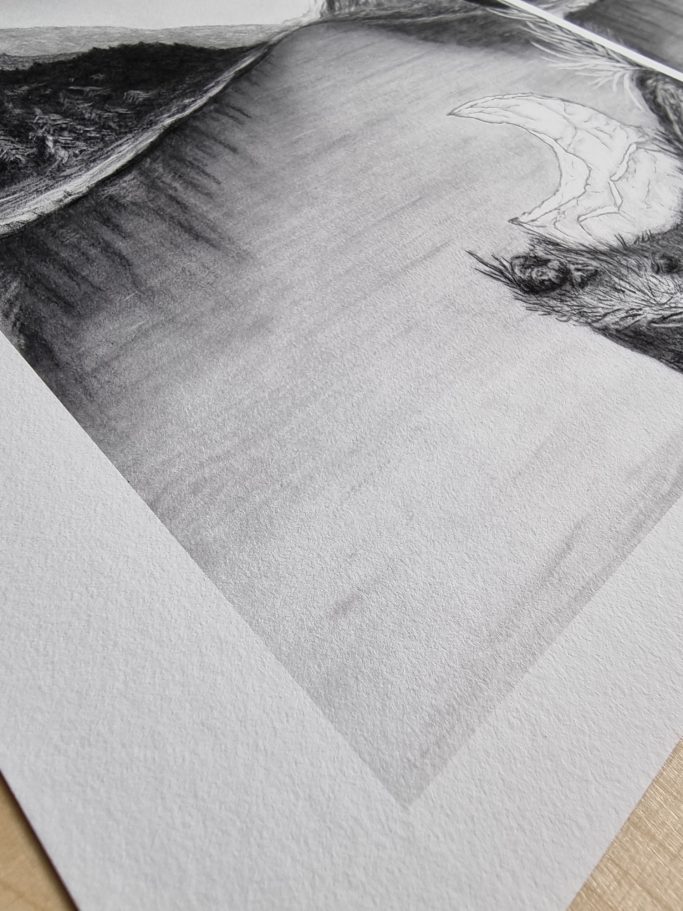 Struktur eines Fine Art Papieres